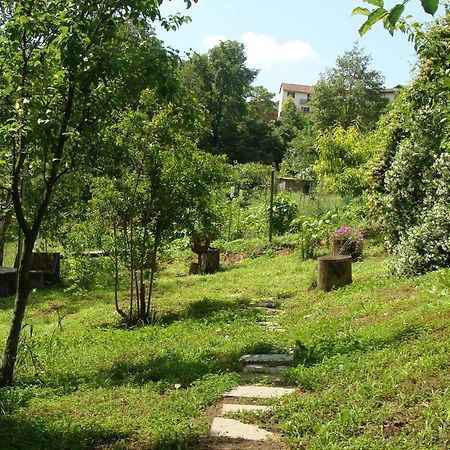 Appartamento In Monferrato Di Dominga Portacomaro Exteriör bild
