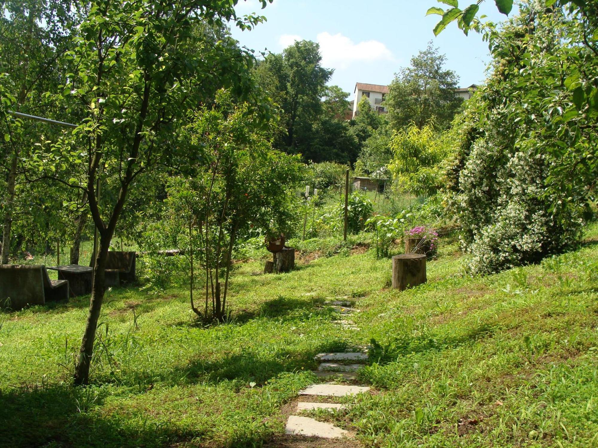 Appartamento In Monferrato Di Dominga Portacomaro Exteriör bild