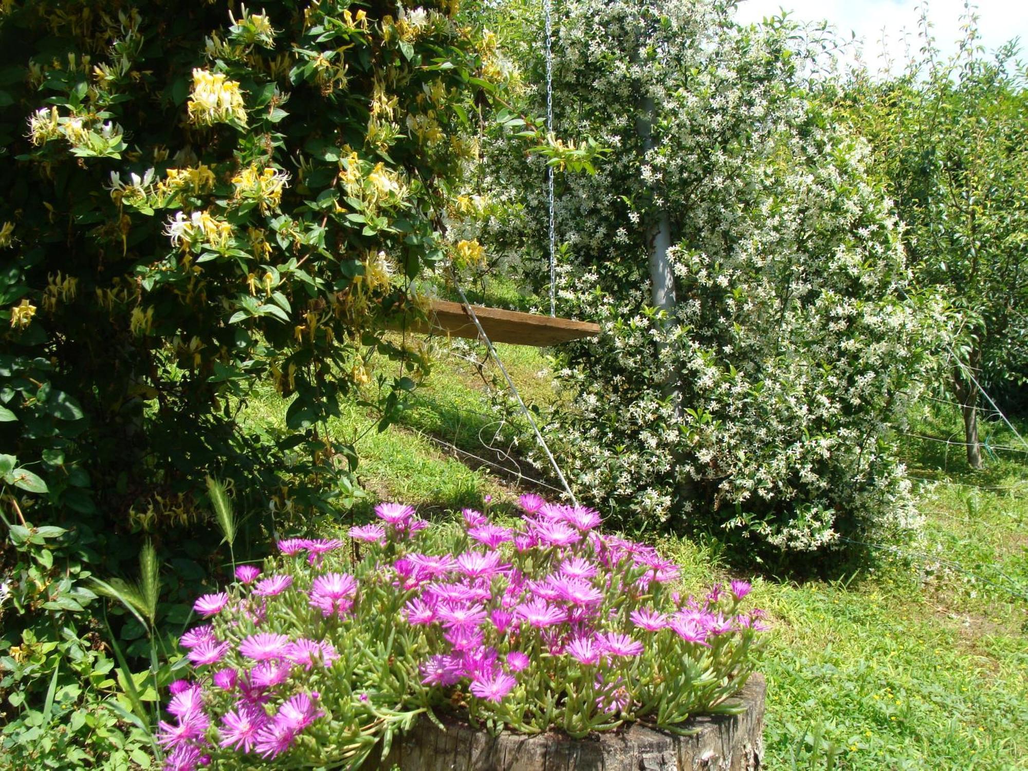 Appartamento In Monferrato Di Dominga Portacomaro Exteriör bild