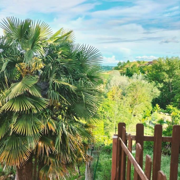 Appartamento In Monferrato Di Dominga Portacomaro Exteriör bild